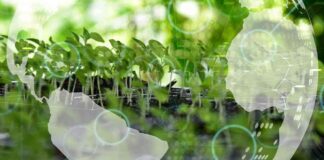 Benefits and Challenges of Digital Circular Economy: A Comprehensive Overview news-14082024-212744