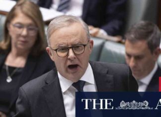 Morrison Testifies in Reynolds’ Defamation Case; Keating Addresses Pelosi’s Comment news-14082024-213928