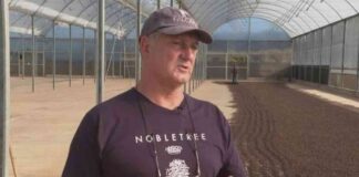 Brazilian Coffee Exports Surge to Record Levels in China news-14082024-214254