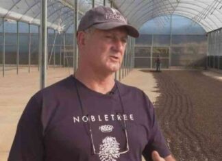 Brazilian Coffee Exports Surge to Record Levels in China news-14082024-214254