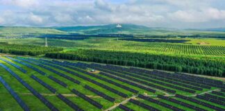 China’s Green Transition Guidelines: Addressing Global Energy Challenges news-14082024-214717