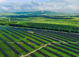 China’s Green Transition Guidelines: Addressing Global Energy Challenges news-14082024-214717