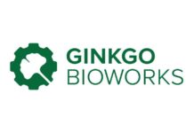 Ginkgo Bioworks Q2 2024 Financial Report: Key Highlights & Analysis news-14082024-215934