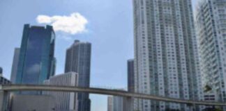 Miami News Update: August 15, 2024 news-14082024-220050