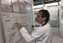 Creating Student Apprenticeships: Indiana Collaborates with Swiss Experts news-14082024-221706