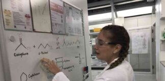 Creating Student Apprenticeships: Indiana Collaborates with Swiss Experts news-14082024-221706