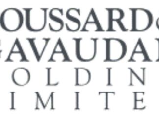 BOUSSARD AND GAVAUDAN HOLDING LIMITED (EUR) – Final NAV Analysis and Performance Update news-14082024-222429