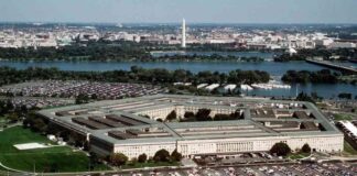 Revival of Small Business Spending Signals Positive Economic Growth news-14082024-222556