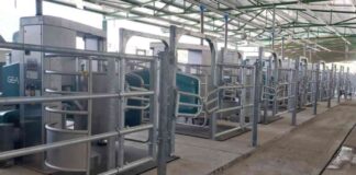 Enhancing Dairy Operations with Automated Batch Milking Technology news-14082024-225332