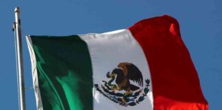 Supporting Mexico’s Currency Rebound: Policy Rates and Political Factors news-14082024-230141