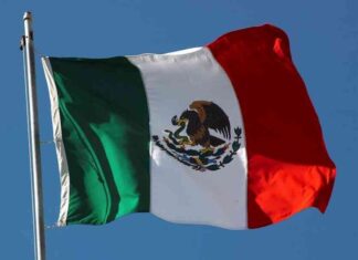 Supporting Mexico’s Currency Rebound: Policy Rates and Political Factors news-14082024-230141