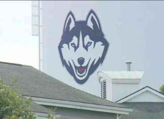 College Preparation Checklist: AAA’s Guide for Students news-14082024-231313