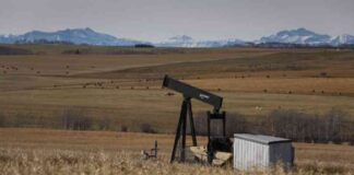 Canada’s Productivity Issue Excluding Oil: An Opinion news-14082024-231615