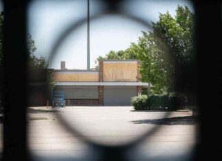 Chicago’s Plan to Address Food Deserts: City-Owned Grocery Store Network news-14082024-232348