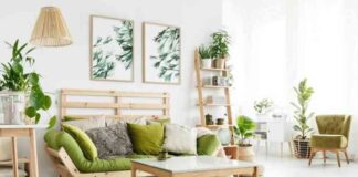 Sustainable Home Décor: Eco-Friendly Furniture Market Trends news-14082024-233948