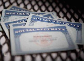 Massive Data Hack Exposes Everyone’s Social Security Numbers: What You Need to Know news-15082024-125536