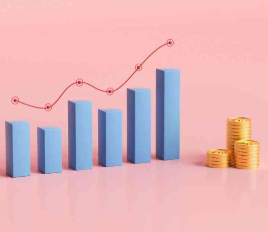 Scaling Your Business: A Guide to Success on a $10 Daily Budget news-17082024-132952