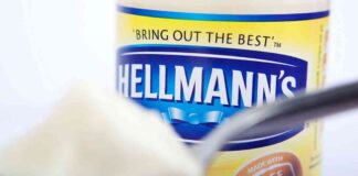 Unlocking Fusion Power: Could Hellmann’s Mayonnaise Hold the Key? news-17082024-222409