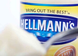 Unlocking Fusion Power: Could Hellmann’s Mayonnaise Hold the Key? news-17082024-222409