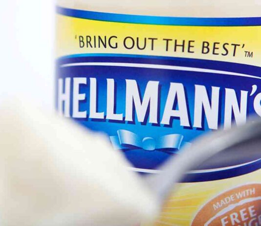 Unlocking Fusion Power: Could Hellmann’s Mayonnaise Hold the Key? news-17082024-222409