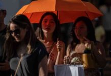 Impact of Extreme Heat and Humidity on Human Health: Causes and Effects news-18082024-120348