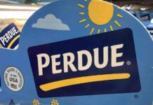 Perdue Chicken Nugget Recall: 167,000 Pounds Due to Metal Wire Contamination news-19082024-000700