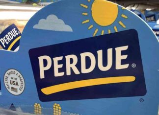 Perdue Chicken Nugget Recall: 167,000 Pounds Due to Metal Wire Contamination news-19082024-000700