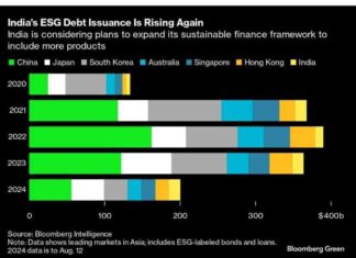 Expanding ESG Debt in India: Record-Breaking Goals and Growth news-19082024-121213
