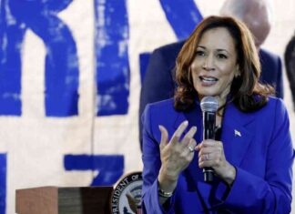 Proposed Corporate Tax Rate Increase to 28% by Harris: Impact and Analysis news-20082024-002232