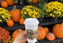 Starbucks Pumpkin Spice Latte Returns with New Fall Menu and Treats news-22082024-181939