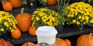 Starbucks Pumpkin Spice Latte Returns with New Fall Menu and Treats news-22082024-181939