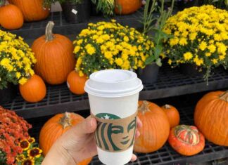 Starbucks Pumpkin Spice Latte Returns with New Fall Menu and Treats news-22082024-181939