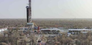 Revealed: Chinese Oilfield Exposed as Chicken Farm by German Shell Whistleblower news-23082024-131653