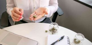 Impact of Marijuana Use on Employee Absenteeism: New Study Findings news-28082024-015536