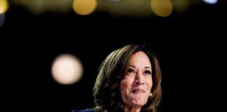 Supporting the Franchise Community: Top 5 Ways Kamala Harris Can Make a Difference news-30082024-022553