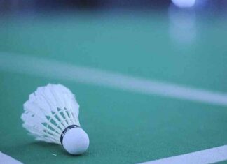 Paralympics 2024: Nitesh and Sukant Reach Semifinals in Para-Badminton news-31082024-142855