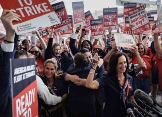 American Airlines Flight Attendants Ratify Contract with 20%+ Immediate Raises news-13092024-062449