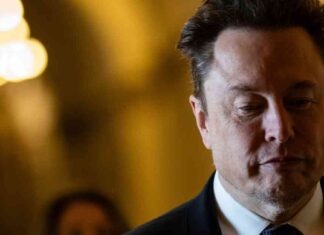 Brazil Supreme Court Unfreezes Assets of Elon Musk’s Starlink and X After Imposing Fines news-14092024-023406