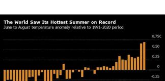 Top 5 Charts for Global Commodity Market Watch news-16092024-005234