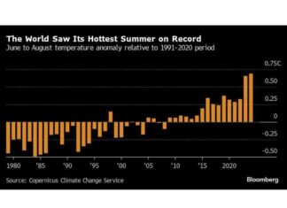 Top 5 Charts for Global Commodity Market Watch news-16092024-005234