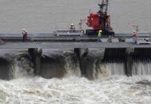 Protecting Dolphins Along Mississippi Gulf Coast: Lawsuit Dismissed news-22092024-023408