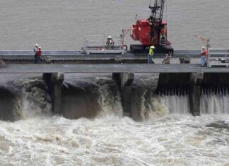 Protecting Dolphins Along Mississippi Gulf Coast: Lawsuit Dismissed news-22092024-023408