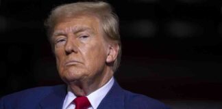 Trump Media Faces Record Low Following Merger as Sale Restrictions are Lifted news-22092024-143713