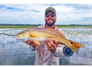 Discover the Latest AI-Powered Assistant on Florida’s Historic Coast news-05102024-210142