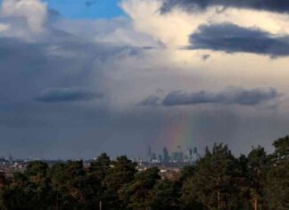 Cities’ Financial Obligations to Provinces: Understanding the Relationship news-13102024-062913