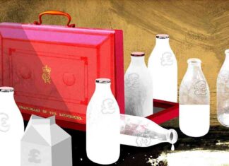 Balancing the Trade-Offs of a Full Fat Budget: What You Need to Know news-19102024-031208