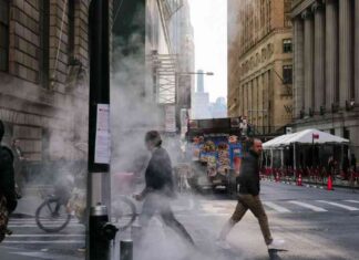 Unlocking Opportunities: The Rise of Emerging Markets news-20102024-031502