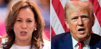 Boosting Global Economic Recovery: Addressing Fragile Confidence news-20102024-211808