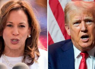 Boosting Global Economic Recovery: Addressing Fragile Confidence news-20102024-211808