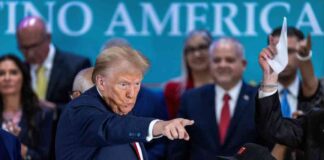 UK Labour Party Accused by Donald Trump of Interfering in White House Race news-23102024-033541